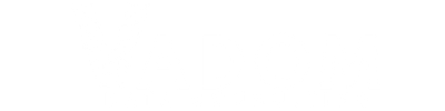 Vadom Data Consulting
